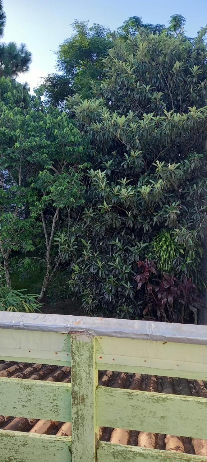Pousada Caminho Da Praia Florianópolis Dış mekan fotoğraf